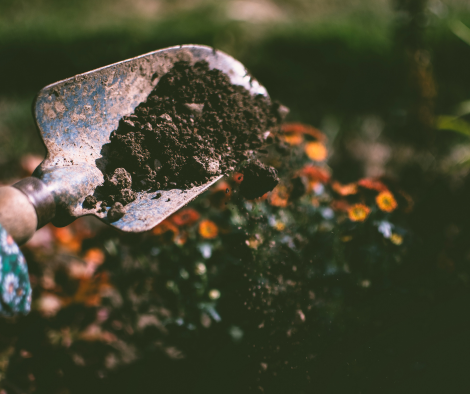 Servicio de jardinería Mainclin