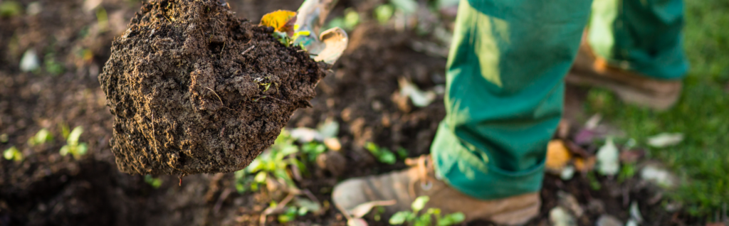 Jardinería Mainclin